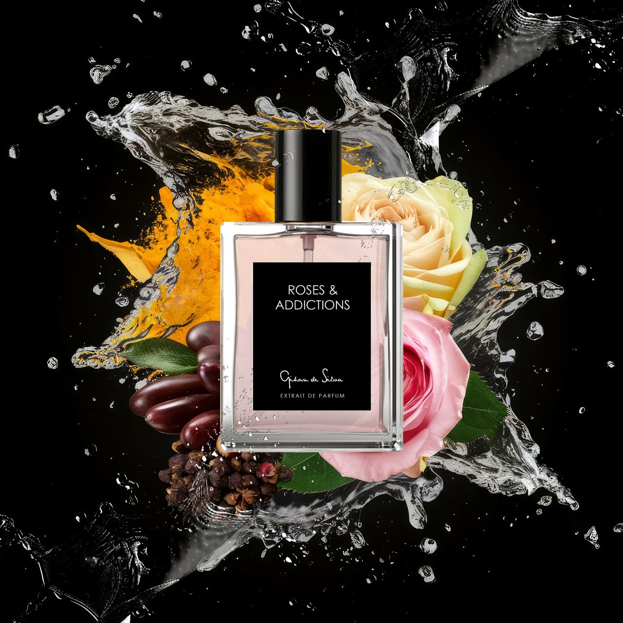 ROSES & ADDICTIONS